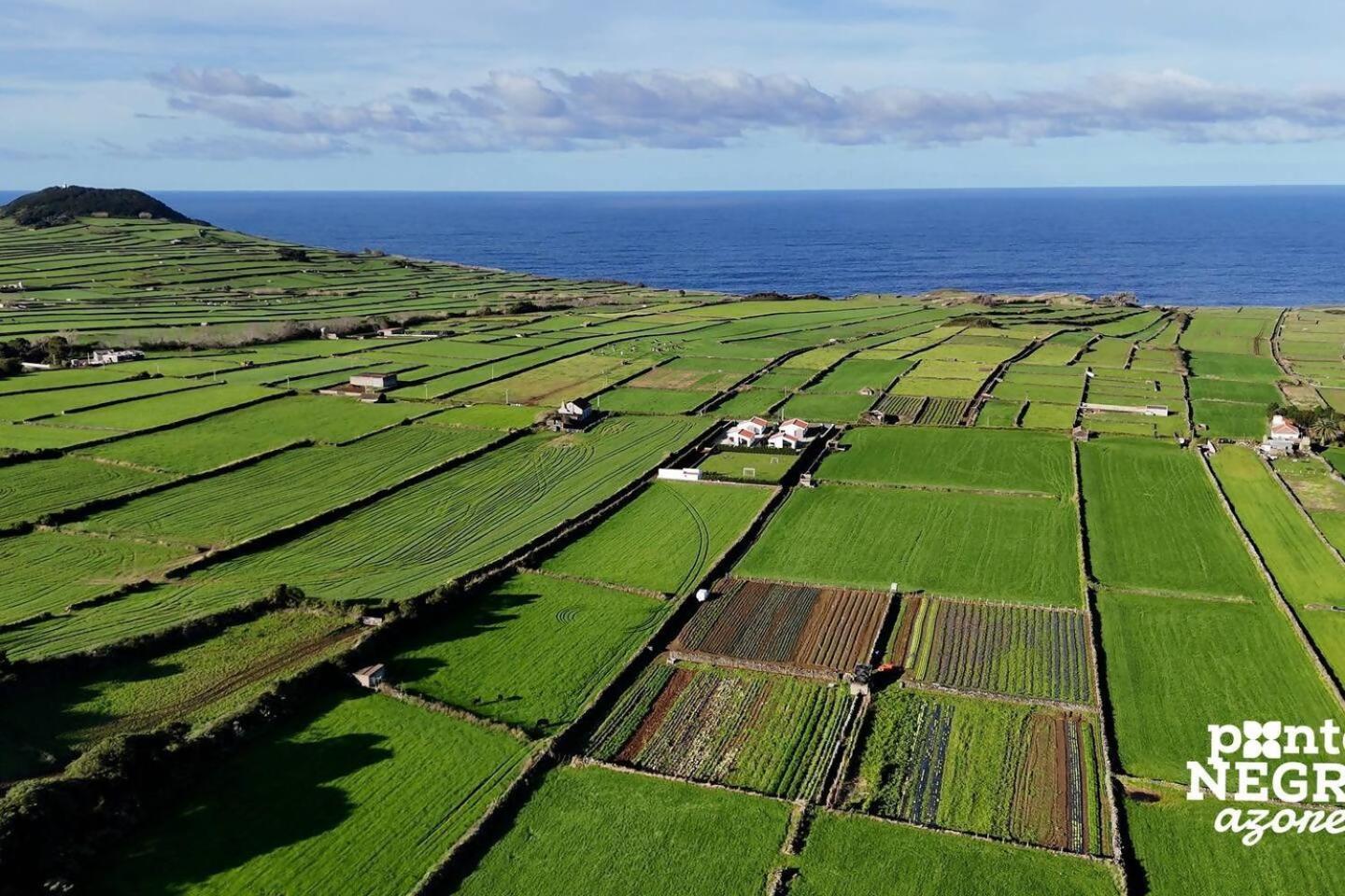 Wine House By Ponta Negra Azores *